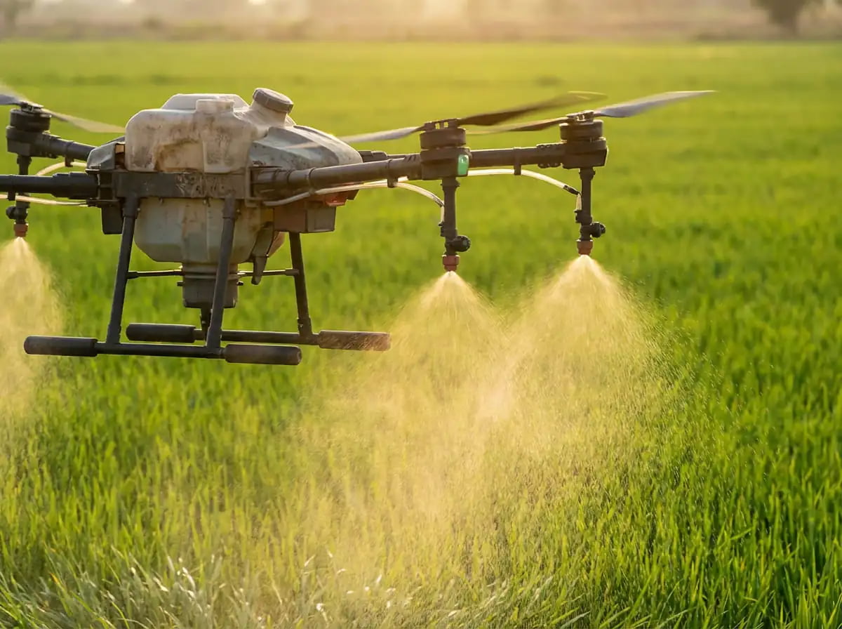 An agricultural drone spraying a large field of green crops